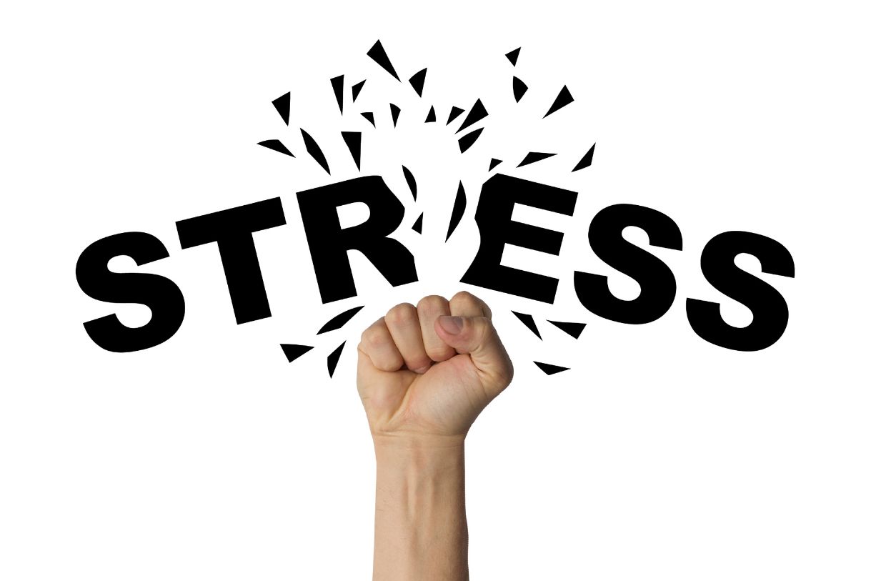 What are the different Essential Stress Management Strategies for Everyone 