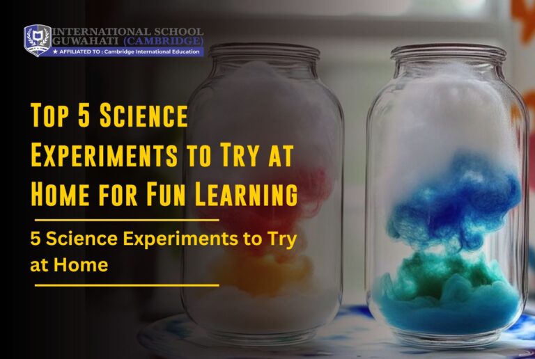 Image: Top 5 Science Experiments to Try at Home